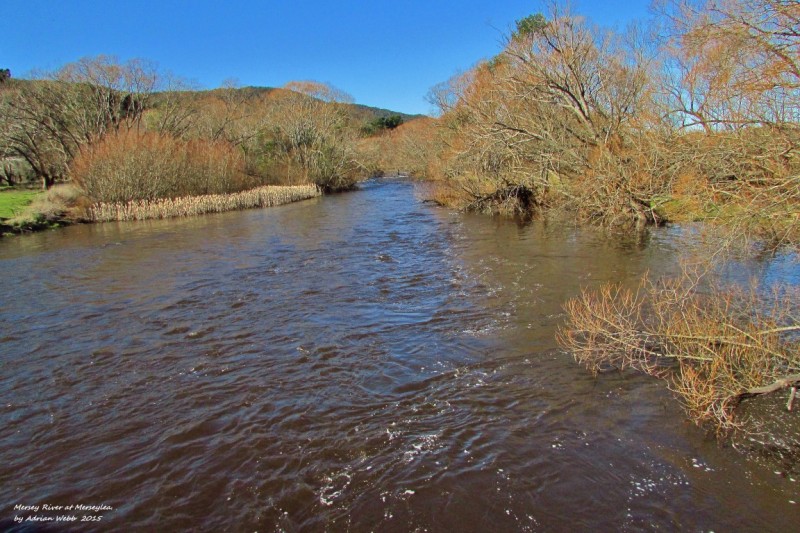 High & fast water, Mersey River at Merseylea.(6-8-15) (Medium).JPG