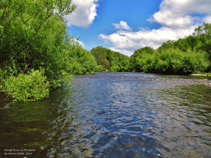 Beautiful section of medium-fast water, Mersey River, Merseylea. (27-11-15) (Medium).JPG