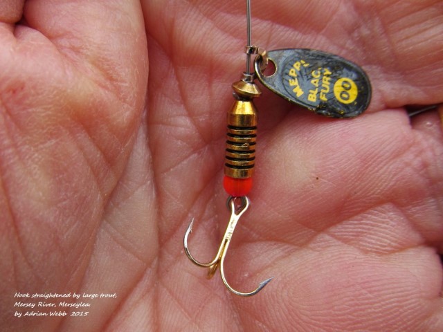 Trout lost after straightening hook. Mersey River. (Small).JPG