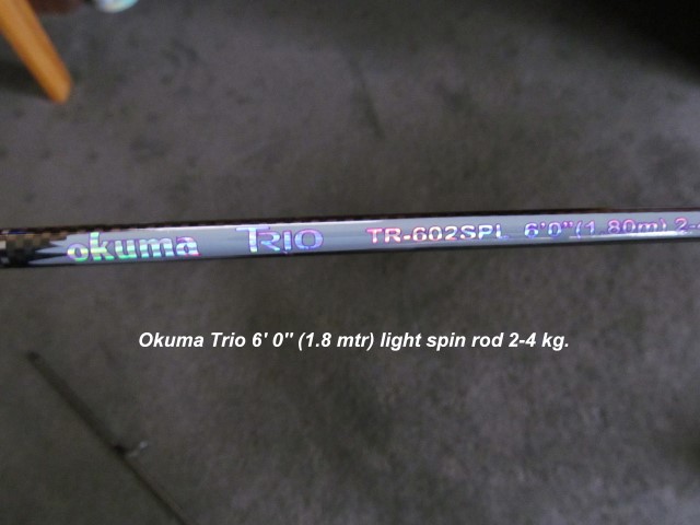 Okuma Trio 6'0'' 2-4kg light spin rod. (Small).JPG