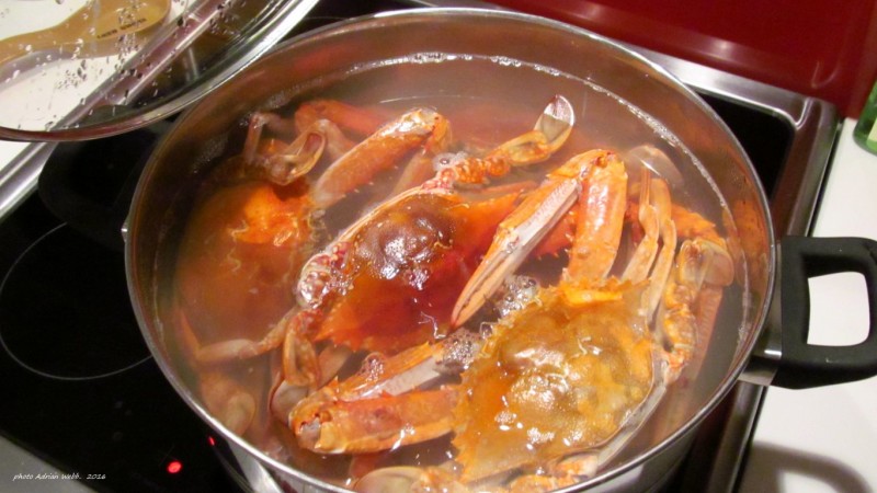Slow cooking the crabs.. (Medium).JPG
