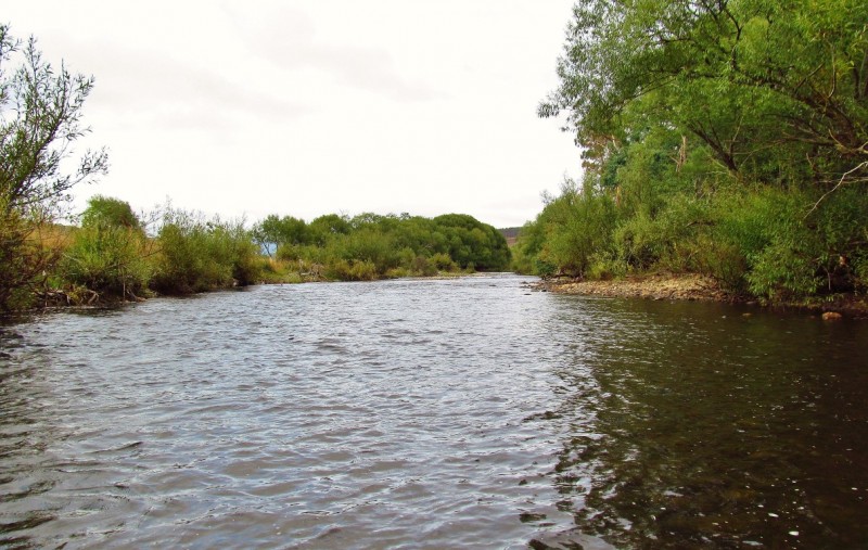 Wide med-fast water run, Mersey River. 19-3-17 Copy (Medium).JPG