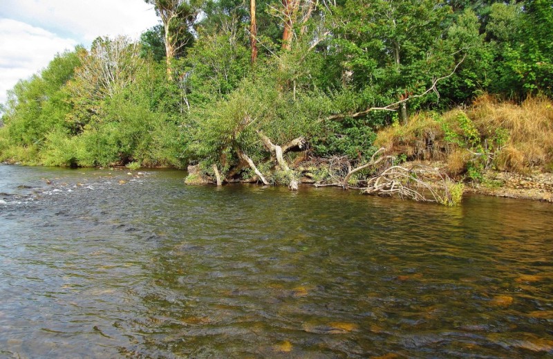 Nice trout water, Mersey River, Kimberley. 19-3-17 (Medium).JPG