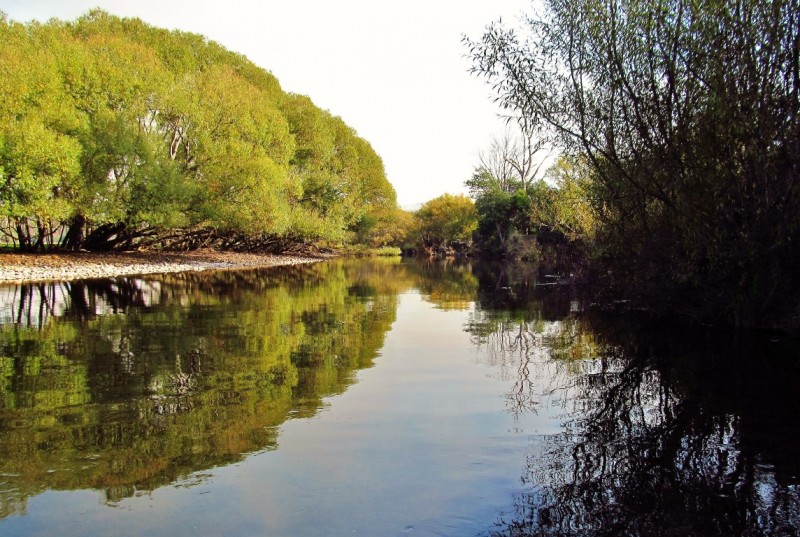 Glassy water, Mersey River.JPG