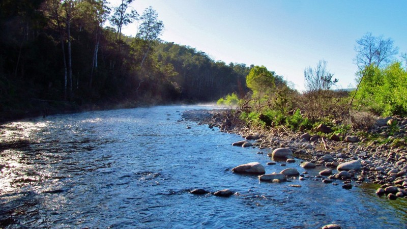 Mersey River at Weegena. 4945 (Medium).JPG