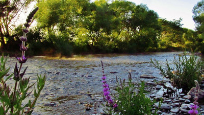 6.20 am Mersey River at Merseylea.. (Medium).JPG