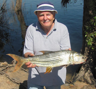 Tigerfish.jpg