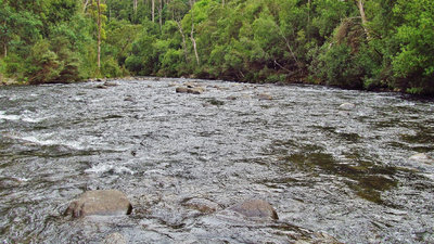 Meander River..5692 (Medium).JPG