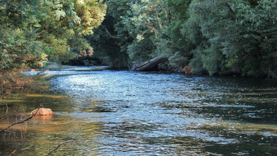 Meander River.. 5831 (Medium).JPG