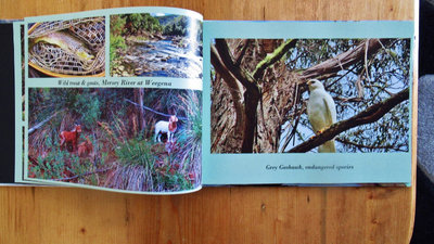 My photo book-2 (Medium).JPG