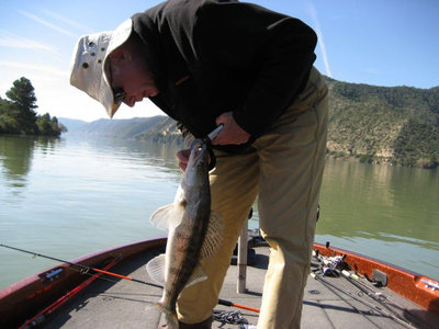 Jean-Luc Faure. with a walleye..jpg