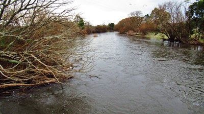 Mersey River, Merseylea.. 6525 (Medium).JPG