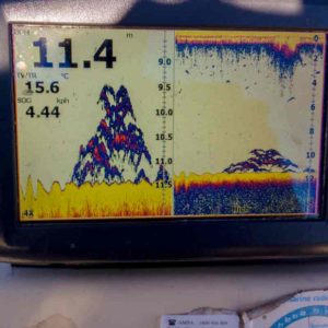 snapper-Lowrance-fish-finder-hds-chirp-300x300.jpg