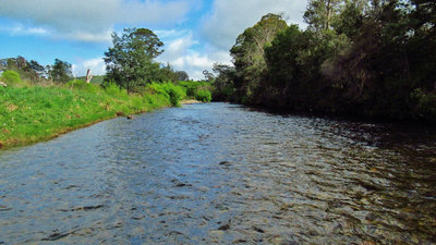 2 Lovely long stretch of river, but no sign of trout.  (Medium).JPG