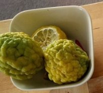 Lemons , , , , ugly lemons.PNG