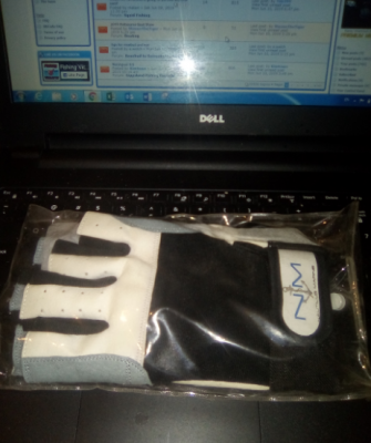 Gloves.PNG