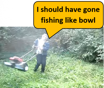 fishing like bowl.PNG