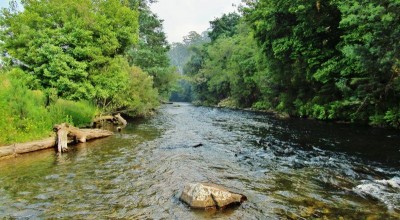 Fast water that gave up a few trout.   (Medium).JPG