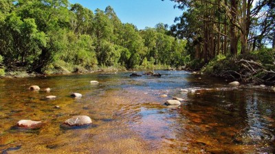 Leven River. 1013 (Medium).JPG