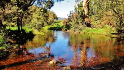 First trout caught here. (Medium).JPG