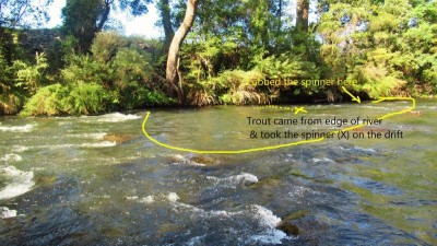 A trout was taken from the flat water close to the river bank..JPG
