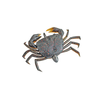 Crab-Rigged-1.png