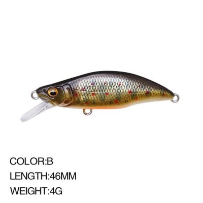 Brown trout model.jpg